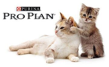 korm-proplan