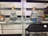 Аквариумы